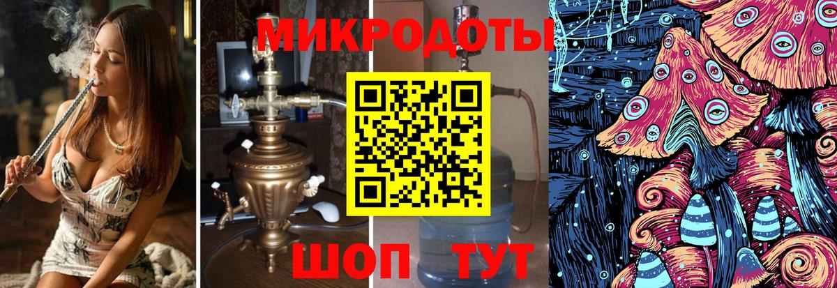 Галлюциногенные грибы Psilocybe  Вход с VPN  Будённовск 